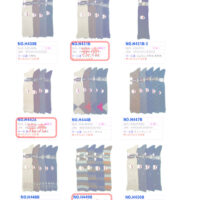 2025AWハイソクのサムネイル