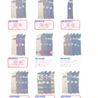 2025AWハイソクのサムネイル