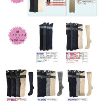 2026SSギュレHSのサムネイル