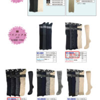 2026SSギュレHSのサムネイル