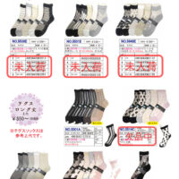 2026SSギュレシースルーのサムネイル