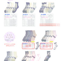 2026SSギュレシースルーのサムネイル