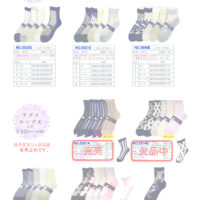 2026SSギュレシースルーのサムネイル