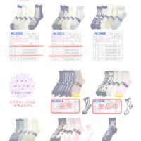 2026SSギュレシースルーのサムネイル
