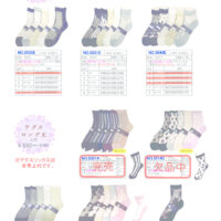 2026SSギュレシースルーのサムネイル